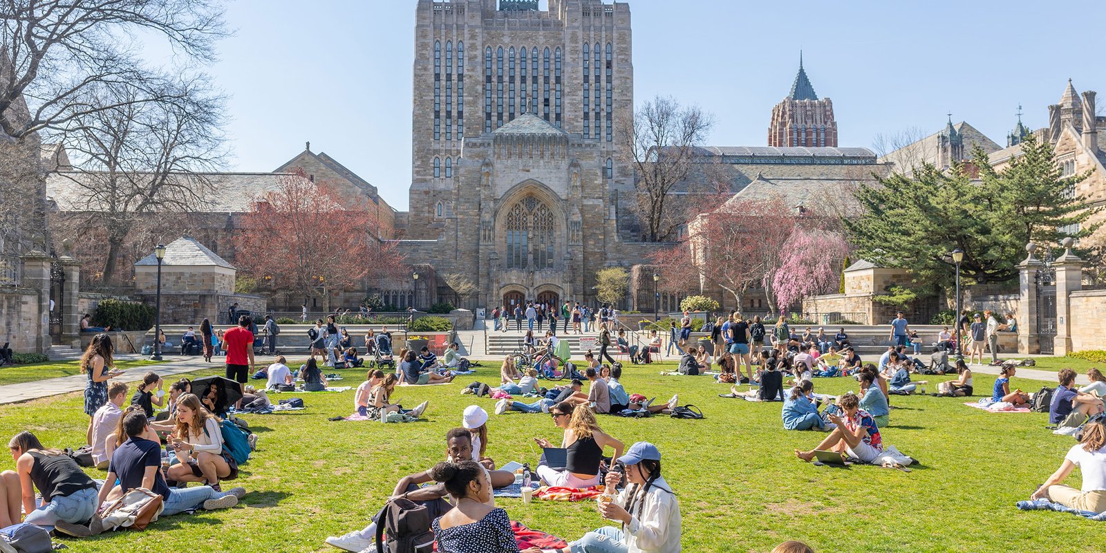 Yale University